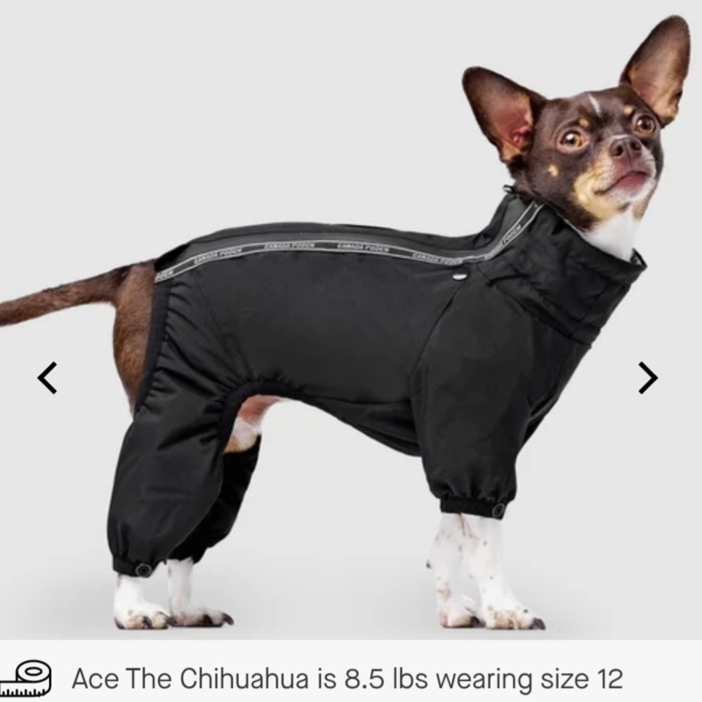 Canada Pooch Snowsuit